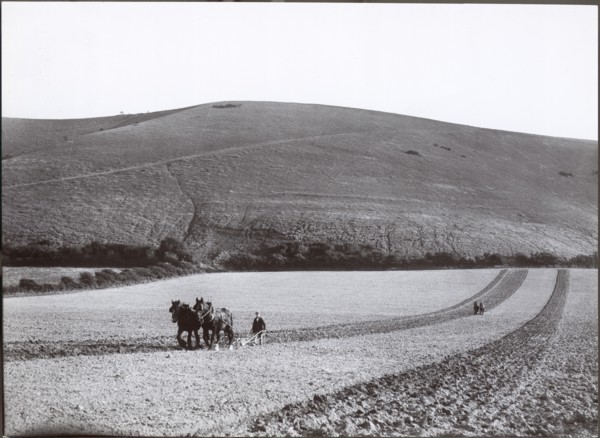 Ploughing under the shadow of the Dyke, 1930s. Creator: J Dixon Scott.