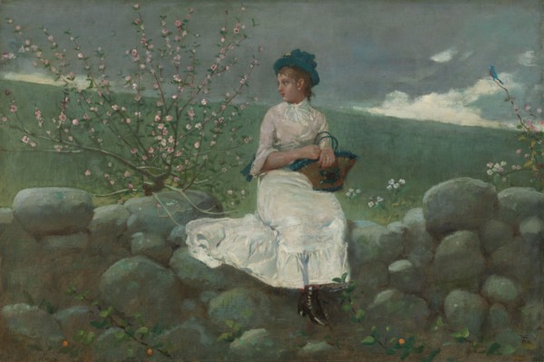 Peach Blossoms, 1878. Creator: Winslow Homer.