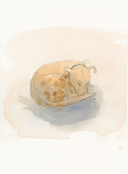 Sleeping dog, 2003. Creator: Judith Dobie.