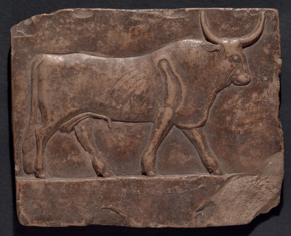 Relief of a Bull, Egypt, Early Ptolemaic Period, about 300 BCE. Creator: Unknown.