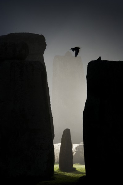 General view of Stonehenge at night, showing a Jackdaw filying between the stones, 2011. Creator: James O Davies.