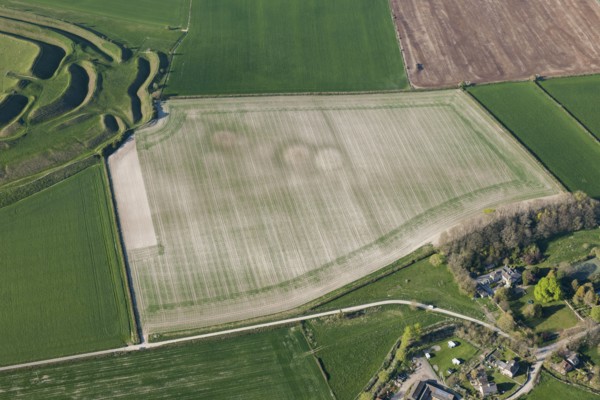 A round barrow cemetery crop mark immediately south east of Maiden Castle, Dorset, 2015. Creator: Historic England.