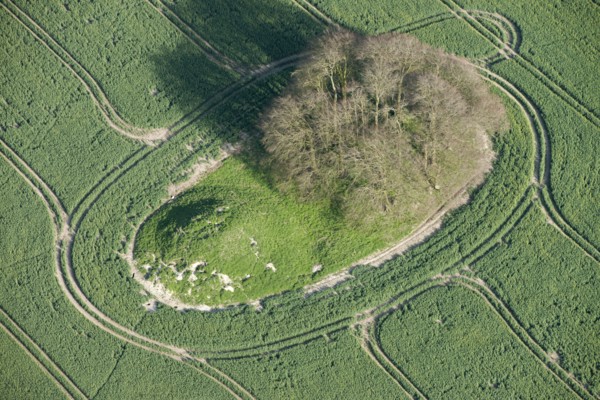 A pair of round barrows on Avebury Down, Wiltshire, 2015. Creator: Historic England.