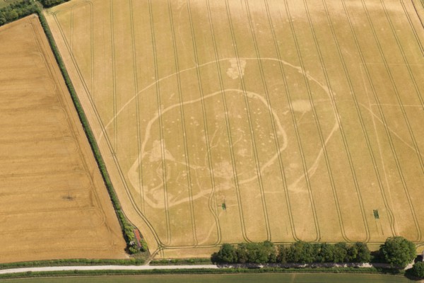 Iron Age double ditched enclosure crop mark, near South Wonston, Hampshire, 2015. Creator: Historic England.