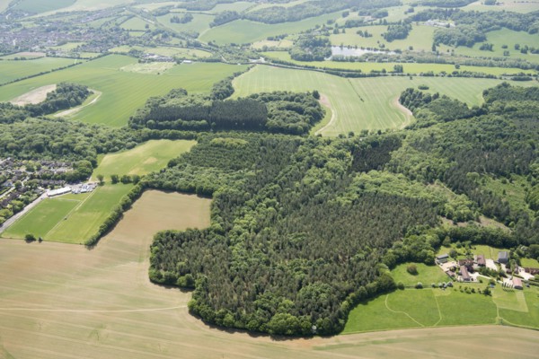 Weedonhill Wood, Shardeloes, Amersham, Buckinghamshire, 2018 Creator: Historic England.