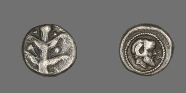 Coin Depicting Silphium Plant, 480-435 BCE.