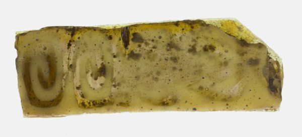 Fragment of a Plate, 1st century BCE-1st century CE.
