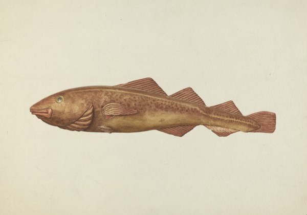 Fish Woodcarving, probably 1938.