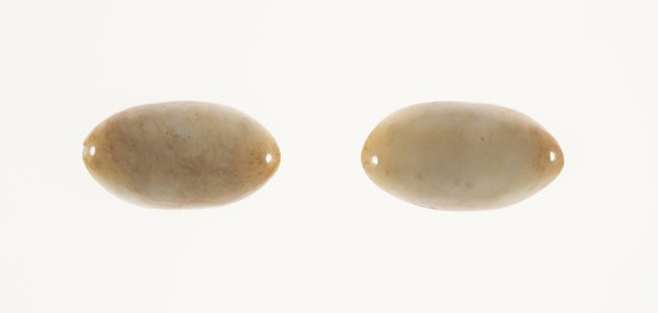 Eye Cover, Style of Eastern Zhou period or Han dynasty. Creator: Unknown.