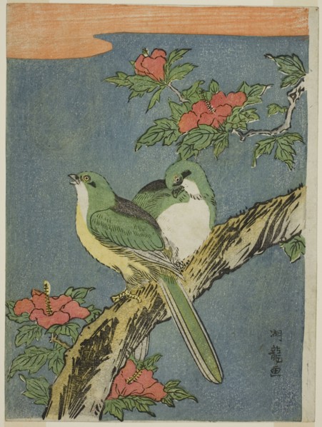 Two Birds on Hibiscus Tree, c. 1770. Creator: Isoda Koryusai.