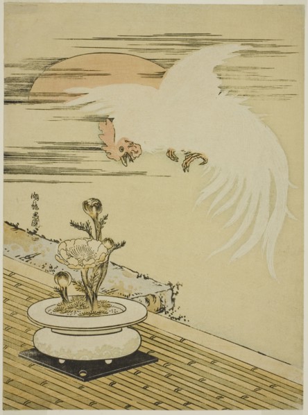 Cock Flying Over Pot of Adonis, c. 1770s. Creator: Isoda Koryusai.