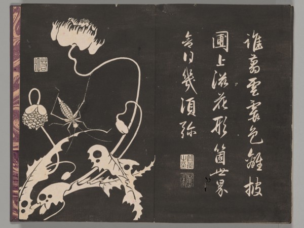 Soken sekisatsu, 1767. Woodblock printed book, with design of insect and poppies.