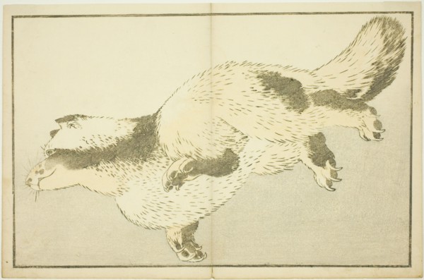 Fox, from The Picture Book of Realistic Paintings of Hokusai (Hokusai shashin gafu), Japan, c. 1814.