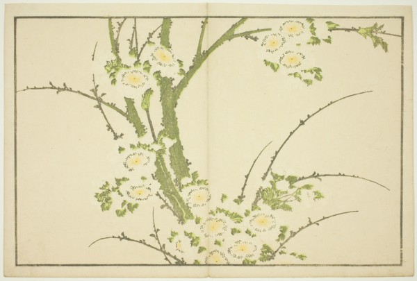 Flowers, from The Picture Book of Realistic Paintings of Hokusai (Hokusai shashin gafu), Japan, c. 1814.