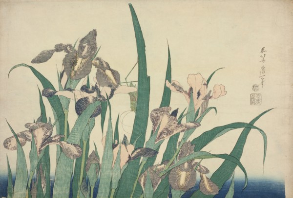 Iris and Grasshopper, from an untitled series of large flowers, Japan, c. 1833/34.