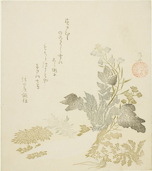 A Giant Radish (daikon), Chrysanthemums and Ferns, About 1820.