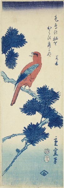 Bird on pine tree, 1857.
