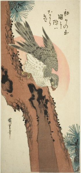 Falcon on a Pine Tree with the Rising Sun, c. 1835.