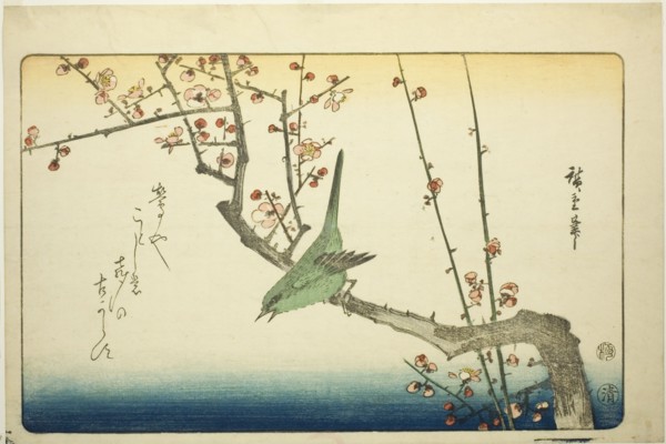 Bush warbler on plum branch, 1840s.