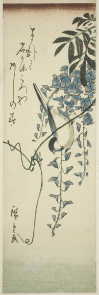 Bird and wisteria, n.d.