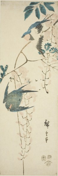 Swallows and wisteria, 1854.