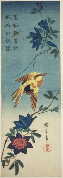 (Facsimile?) Black-naped oriole and clematis, 1840s.