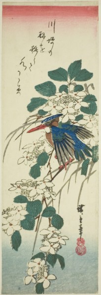 Kingfisher and viburnum, 1840s.