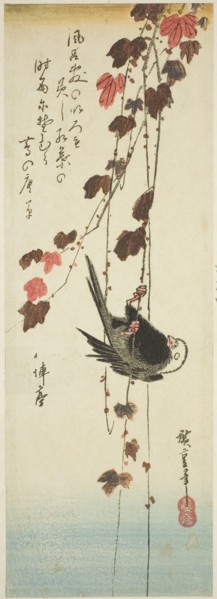 White-headed bird and ivy, mid-1830s.