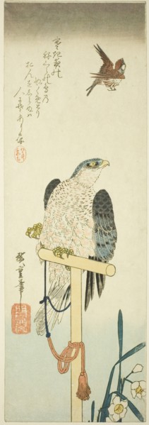 Falcon, sparrow, and narcissus, 1830s.