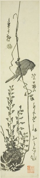 Canary and wisteria, mid-1840s.
