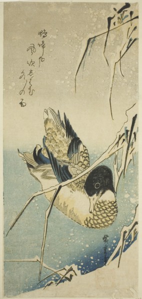 Ducks in snow, 1830s.