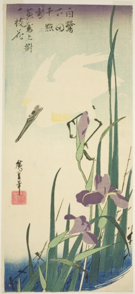 White heron and iris, c. 1832/34.