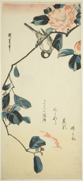 Bullfinch on camellia branch, early 1830s.