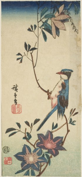 Blue bird on clematis, n.d.