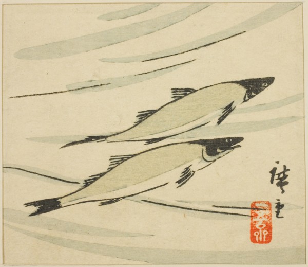 Trout, section of a harimaze sheet, 1858.