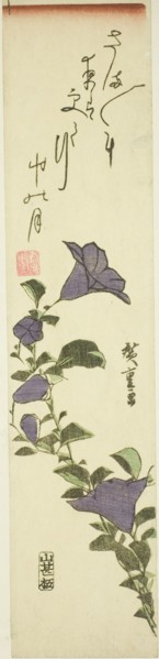 Chinese Bell Flowers, c. 1830s.
