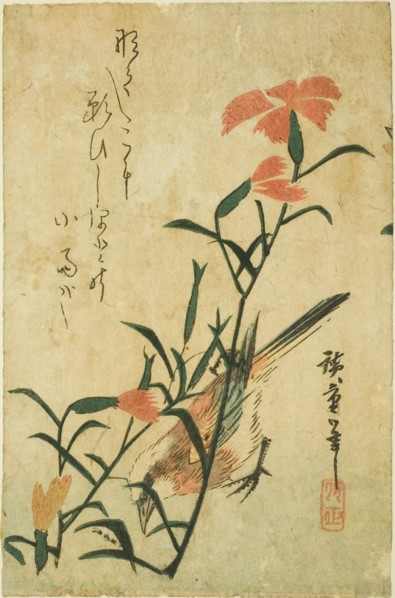 Bird and wild carnation, c. 1830s.