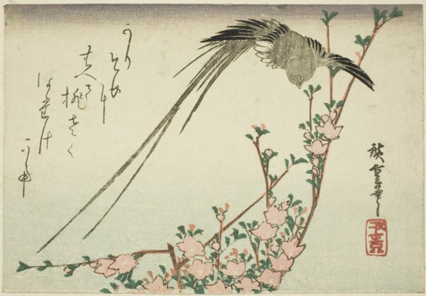 Long-tailed bird and peach blossoms, 1830s.