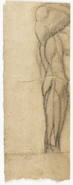 Studies of Nudes, n.d.