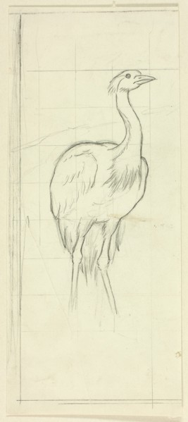 Standing Bird, n.d.