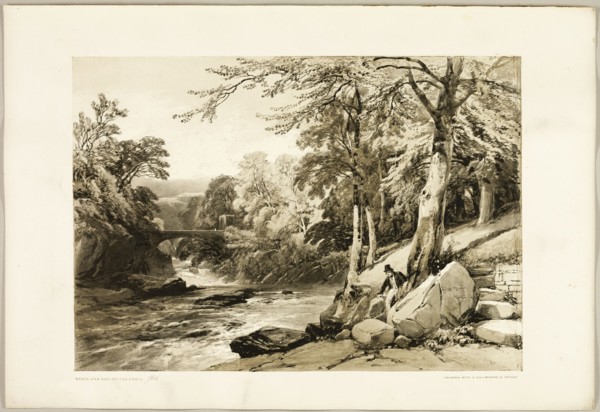 Beech and Ash on the Greta, from The Park and the Forest, 1841.