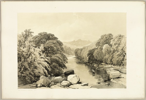 Ash, Sycamore and Oak, from The Park and the Forest, 1841.