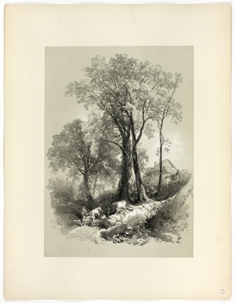 Shipley Bridge, Devon, from Picturesque Selections, 1859.