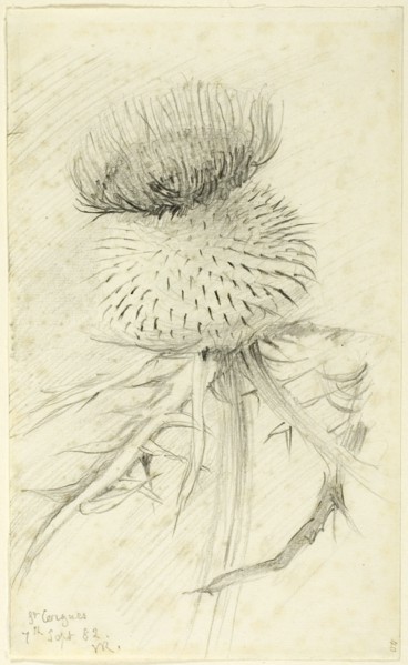 St. Cergues, 1882.