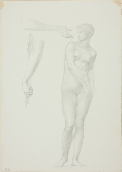 Standing Female Nude and Sketches of Arms, c. 1873-77.