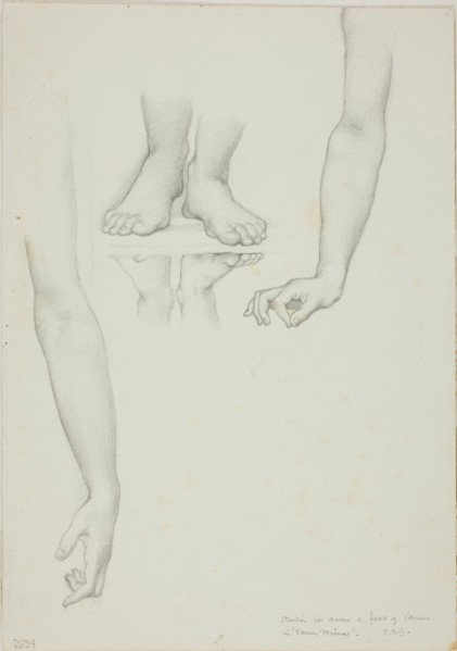 Study for Mirror of Venus: Arms and Feet of Venus, c. 1873-77.