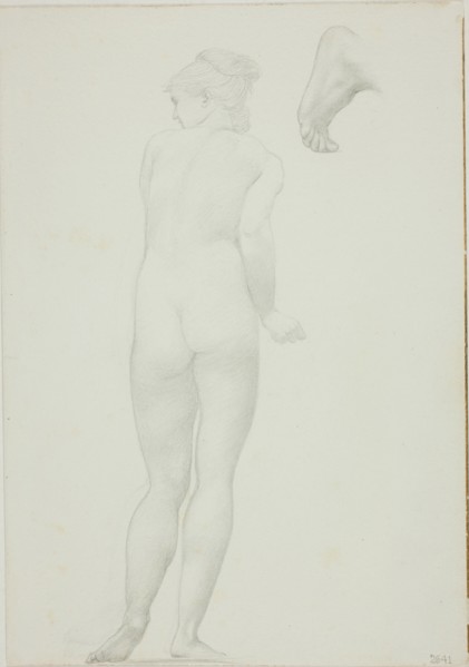 Backview of Standing Nude Woman and Sketch of a Foot, c. 1873-77.