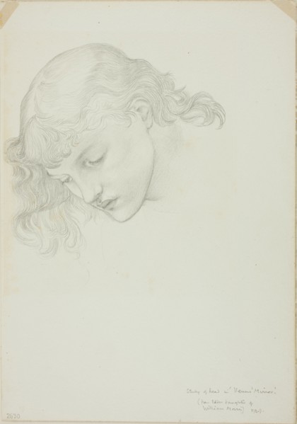 Head, Study for Mirror of Venus, c. 1873-77.