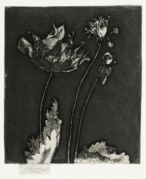 Last Poppies, 1897.