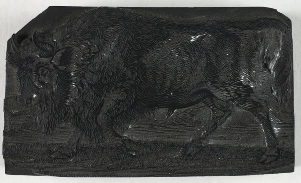 Woodblock for The Urus or Wild Bull, from A General History of Quadrupeds, c. 1790.